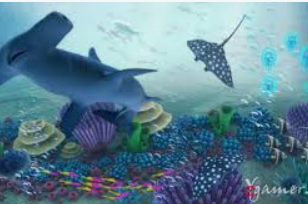 ky888.kkcc开元下载电脑免费版